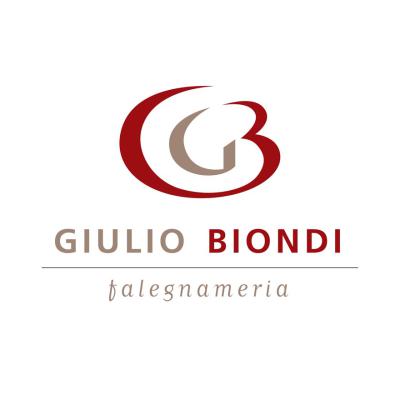 Logo Giulio Biondi